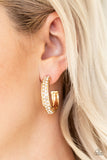 Cash Flow - Gold Earrings